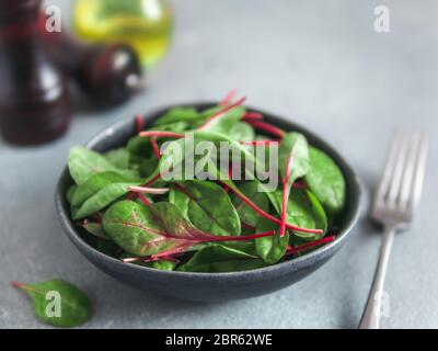 Frischer Salat von grünen Mangold Blätter oder Mangold am grauen Stein Hintergrund. Frische Baby Rüben Blätter im Handwerk Keramik Schüssel. Kopieren Sie Platz für Text. Tageslicht Stockfoto