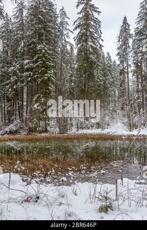 Landschaft rund um einen See namens Hintersee in Bayern im Winter Stockfoto