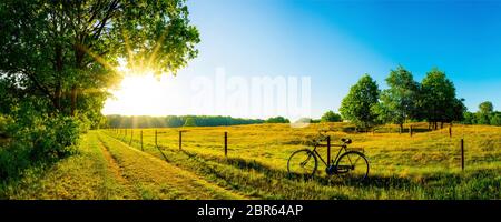 Landschaft im Sommer mit Bäumen und Wiesen bei strahlendem Sonnenschein Stockfoto