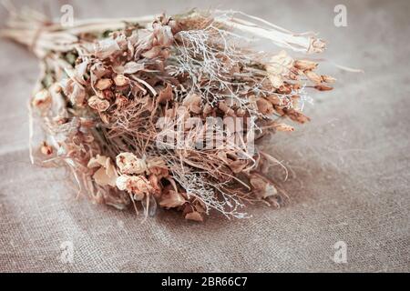 Bouquet von getrockneten Blumen auf einer leichten Leinwand, Vintage-Hintergrund, rustikalen Stil, Konzept der romantischen Traurigkeit und Nostalgie Stockfoto