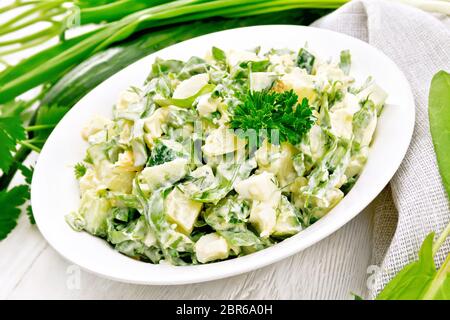 Salat aus Gurken, Sauerampfer, gekochte Kartoffeln, Eier und Kräuter, Gekleidet in weiße Platte mit Mayonnaise, Petersilie, Frühlingszwiebeln und Serviette vor dem hinterg Stockfoto