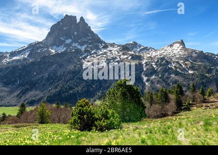 Blick auf den Pic du Midi Ossau im Frühling, in den französischen Pyrenäen Stockfoto