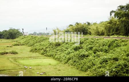 Anzeigen von Kolkata zu Jaldapara, den Zug in der Nähe von Türen Jaldapara Bereich Reisen auf Schienen durch die grünen, grünen Wiesen mit robusten Pilatus im Hinterg Stockfoto