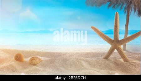 Strand Sommer Hintergrund. Sommerferien wih star Fisch auf Sand. Sandstrand Stockfoto