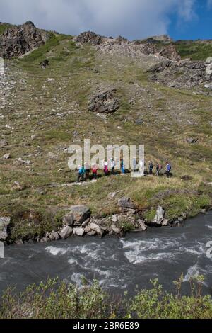 Eine Gruppe von Wanderern auf dem Savage River Loop Trail im Denali Nationalpark, Alaska, USA Stockfoto