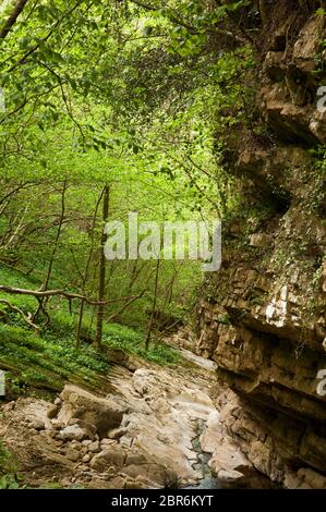 Ewbank Scar bei Kirkby Stephen in Cumbria, Großbritannien Stockfoto