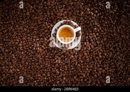 Kleine weiße Tasse schaumige heiße starker Espresso Kaffee eingebettet auf einer Schicht voll geröstete Kaffeebohnen in einem full frame Hintergrund Textur Stockfoto