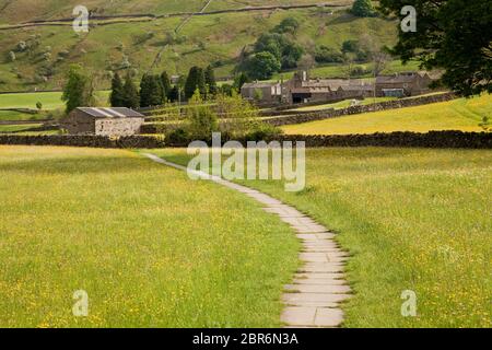 Muker Wildblumenwiesen im Sommer, in den Yorkshire Dales, Großbritannien Stockfoto