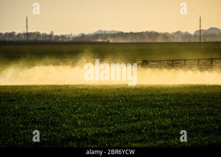 Jets von Flüssigdünger aus dem Traktor Feldspritze. Traktor mit Hilfe einer Spritze sprays Flüssigdünger auf jungen Weizen im Feld. Die Verwendung Stockfoto