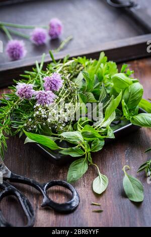 Bündel von verschiedenen Kräuter zum Kochen auf hölzernen Hintergrund Stockfoto