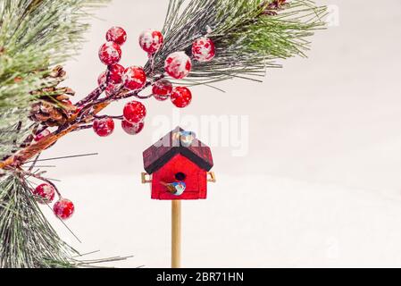 Frisch gefallener Schnee im Hintergrund mit gefälschten Kiefernästen, Beeren und zwei Vögeln auf einem winzigen roten Vogelhaus thront Stockfoto