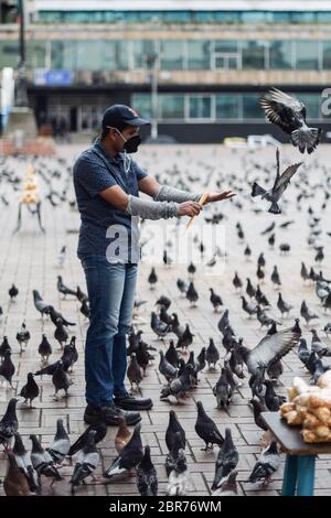 Maisverkäufer füttert Tauben allein auf der Plaza de la Gobernacion von Cali, die während der Sperrung des Coronavirus meist voller Menschen und leer ist Stockfoto