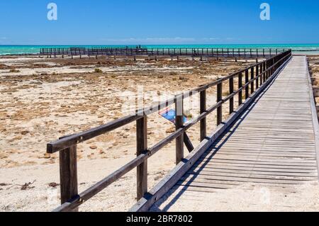 Boardwalk am Hamelin Pool marine Stromatolithen - Denham, WA, Australien Stockfoto