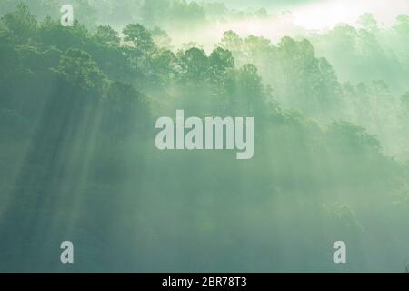 Neblige Landschaft mit Sonnenstrahlen im Nebel oder Nebel Stockfoto