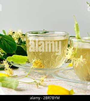Transparente Becher mit Tee aus Linden auf einem weißen Holzbrett Stockfoto