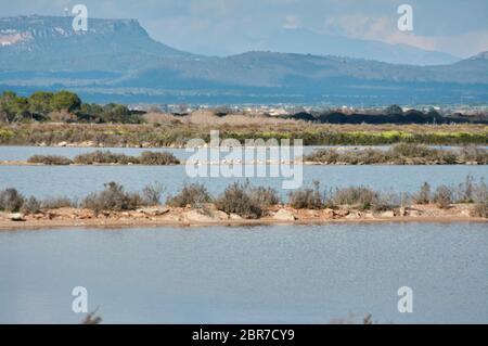 Naturpark S'Albufera Lagune, Mallorca Stockfoto