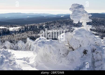 Panoramablick und stark verschneite Tannen auf den Brocken, Nationalpark Harz. Deutschland. Gegenlicht-Fotografie Panoramabilick und stark verschneite Tann Stockfoto