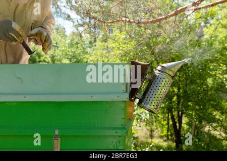 Imker arbeitet mit Bienen und Bienenstöcke auf dem Bienenstand. Stockfoto