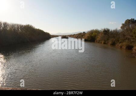 Naturpark S'Albufera Lagune, Mallorca Stockfoto