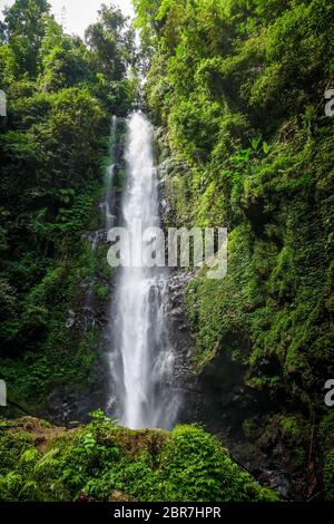 Melanting Wasserfall in Munduk, Bali, Indonesien Stockfoto