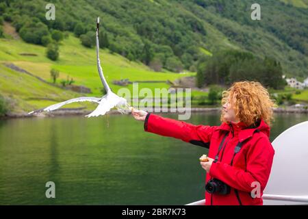 Frau in roter Jacke auf der Fähre und Fütterung Möwe. Tourist füttert Möwen vom Deck des Schiffes. Frau Tourist auf dem Deck eines Ferr Stockfoto