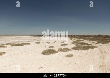 Folgen der Aralsee Katastrophe. Sandy Salzwüste auf dem Gelände der ehemaligen unteren des Aralsees. Kasachstan Stockfoto