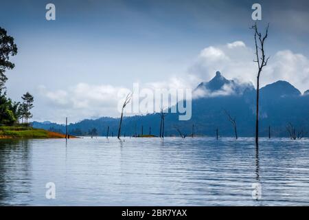 Morgennebel auf Cheow Lan Lake, Khao Sok Nationalpark, Thailand Stockfoto