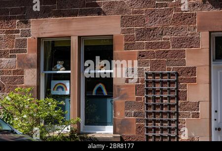 Regenbogenzeichnungen & Teddybären im Fenster in Covid-19 Sperrung der Pandemie des Coronavirus, North Berwick, East Lothian, Schottland, Großbritannien Stockfoto