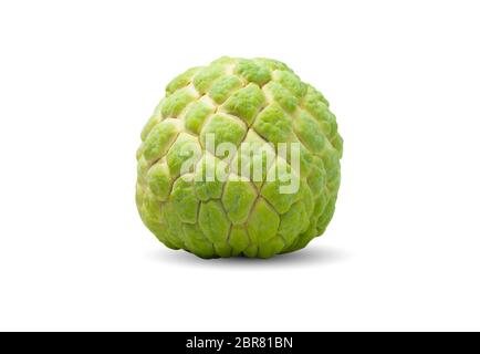 Frische Zucker Apple auf weißem Hintergrund. Essen und gesundes Konzept Stockfoto