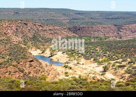 Kleine Oase in der Murchison Schlucht - Kalbarri, WA, Australien Stockfoto