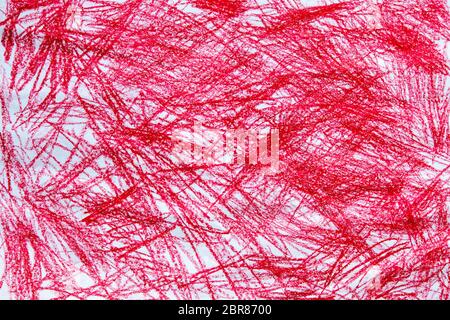 Kind Artwork. Red Bleistiftzeichnungen auf weißem Papier Hintergrund Textur. Stockfoto