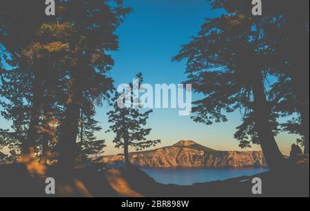 Landschaftlich schöner Blick auf den Baum mit Sonnenuntergang Licht, Vintage-Stil. Stockfoto