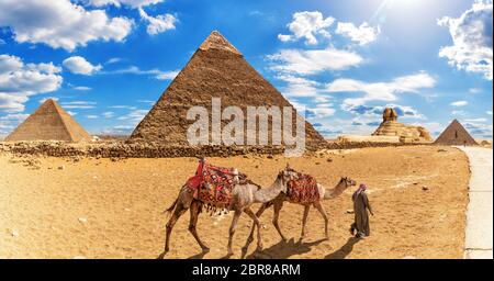 Die Beduinen mit kamelen vor den Pyramiden und der Sphinx von Gizeh. Stockfoto