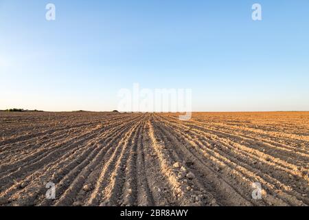 Ländliche Landschaft. Landwirtschaftliche Flächen, vor kurzem gepflügt und für die Aussaat eines Feldes vorbereitet, gegen den blauen Himmel, bei Sonnenuntergang. Stockfoto