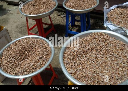 Kleine Stücke Betelnuss in großen Schalen trocknen in der Sonne, Yangon, Myanmar, Asien. Stockfoto