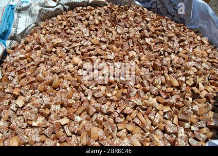 Kleine Stücke Betelnuss in großen Schalen trocknen in der Sonne, Yangon, Myanmar, Asien. Stockfoto