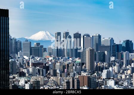 Berg Fuji mit Tokyo Skylines und Wolkenkratzer Gebäude in der Shinjuku Station in Tokyo. Von Tokio Bunkyo Civic Center Observatory Sky Schreibtisch genommen. Stockfoto