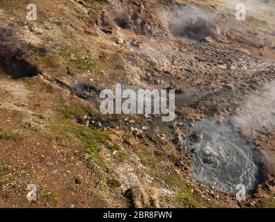 Dampfenden und blubbernden Schlammlöchern in der Nähe von Reykjadalur in Island Stockfoto