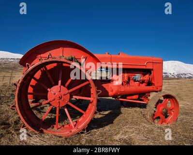 Eine gut erhaltene Oldtimer Traktor in dem Feld vor einer Bergkulisse Stockfoto