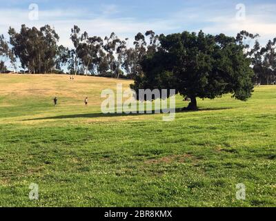 Kenneth Hahn State Recreation Area bietet Freiflächen in der Mitte eines dicht besiedelten Gebietes in der Baldwin Hills Area von Los Angeles, CA Stockfoto