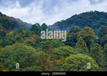 Die dreistöckige Koyasu-Pagode, die Koyasu Kannon im dichten Wald am Hang des Higashiyama-Hügels gewidmet ist, vom Kiyomizu-dera tem aus gesehen Stockfoto