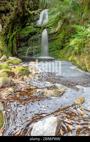 Schwein-Trog-Wasserfall am Rock Island Bend auf dem Franklin River Stockfoto