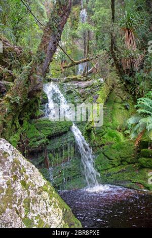 Schwein-Trog-Wasserfall am Rock Island Bend auf dem Franklin River Stockfoto