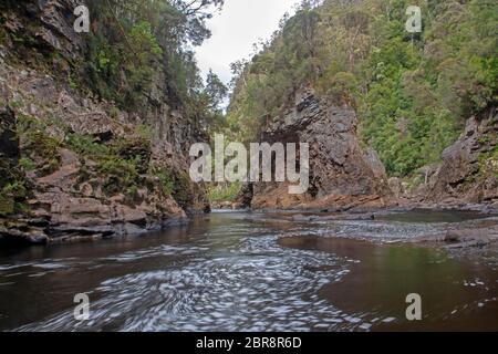 Rock Island Bend am Franklin River Stockfoto