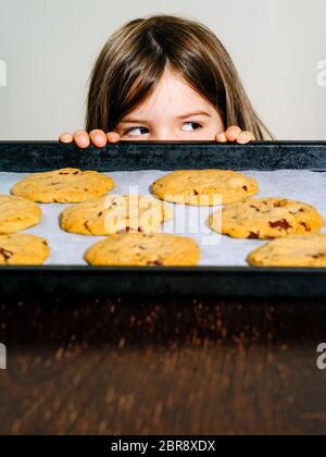 Foto eines jungen Mädchens zu einem Fach des warmen Chocolate Chip Cookies starrte. Stockfoto