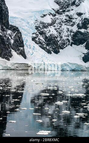 Gletscher und Eisberge und Eisschollen an einem ruhigen Morgen im Neko Harbour, Antarktis Stockfoto