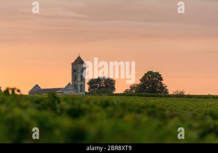 Sonnenuntergang über den Weinbergen von Montagne in der Nähe von Saint Emilion. Gironde, Aquitaine. Frankreich Stockfoto