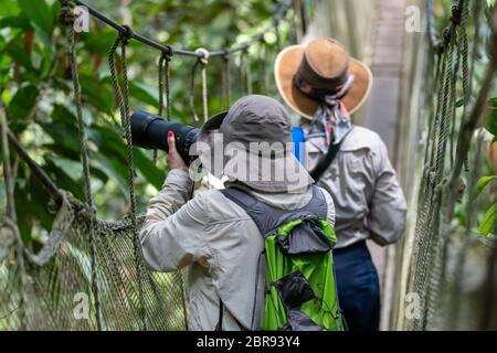 Zwei Fotografen fotografieren von der Baldachin-Brücke in Ceiba Tops, einer Dschungelhütte am Amazonas in Peru Stockfoto