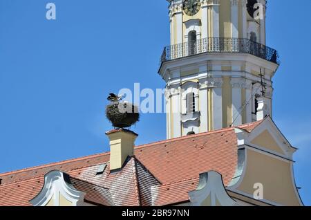 Storchenpaar auf Heiligkreuzstift in Donauwörth Stockfoto