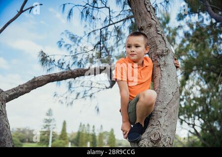 Eine niedrige Abgeschossen eines jungen kaukasischen Junge klettern hoch in einen Baum, er ist legere Kleidung. Stockfoto